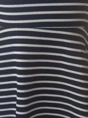 Pinc Navy and White Striped Mini Fit-and-Flare Dress